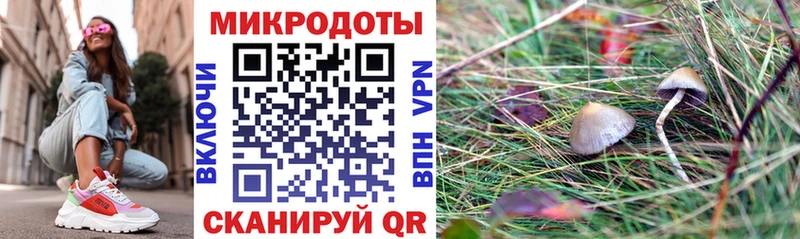 продажа наркотиков  Тобольск  Псилоцибиновые грибы Psilocybe 