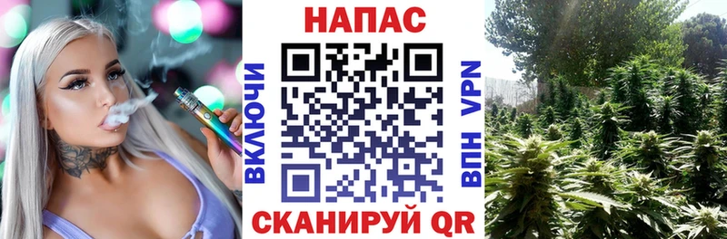 МЕГА зеркало Тобольск Шишки марихуана гибрид